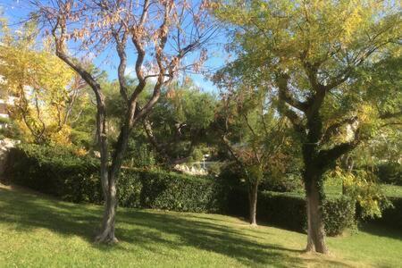 Cassis 4Pers Vue Mer Wifi Tennis Parking Piscine Kültér fotó